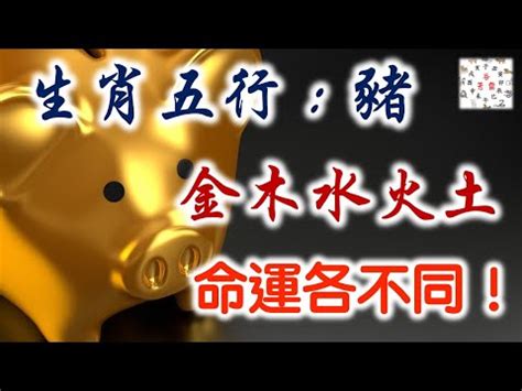 豬五行|【屬豬五行屬什麼】快看！解密屬豬五行屬性，掌握你的運勢密碼。